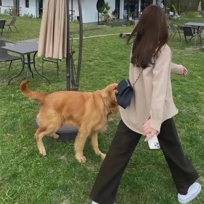 理想主义者